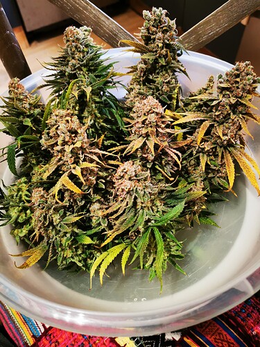 Growreport Bild 3