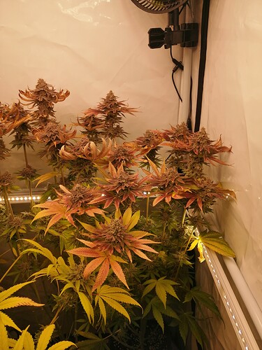 Growreport Bild 9