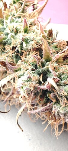 Growreport Bild 14