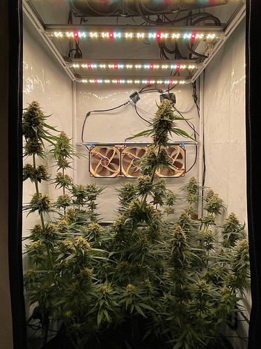 Growreport Bild 9