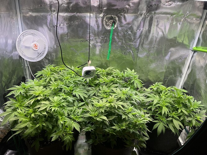 Growreport Bild 6