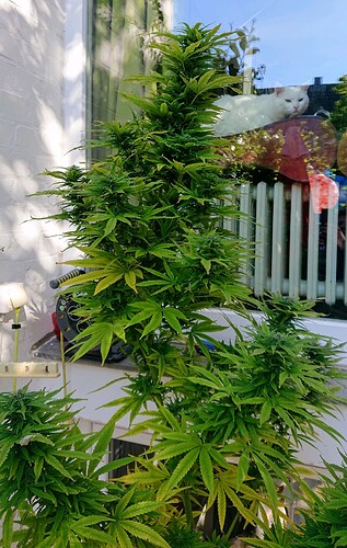 Growreport Bild 7