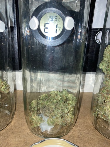 Growreport Bild 8