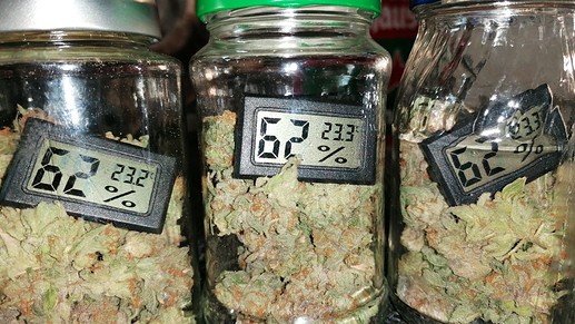 Growreport Bild 1