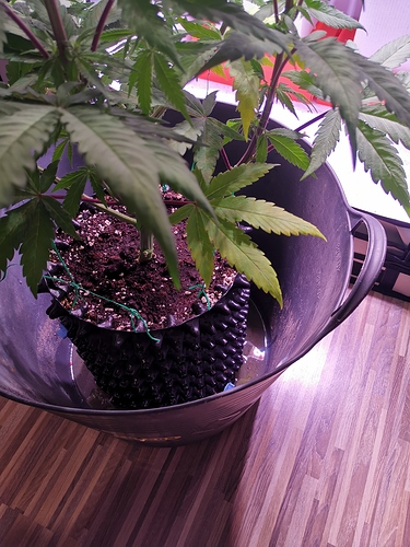 Growreport Bild 11