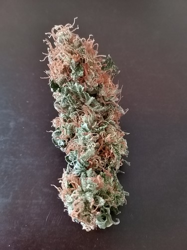 IMG_20211105_111147_222