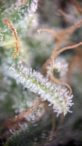 PXL_20221020_180517364