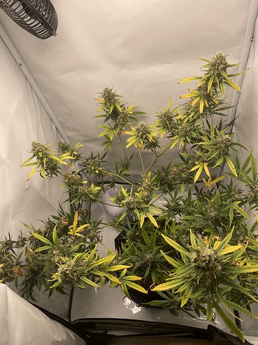 Growreport Bild 16