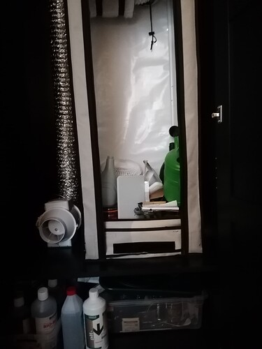 Growreport Bild 4