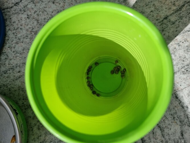 Growreport Bild 4