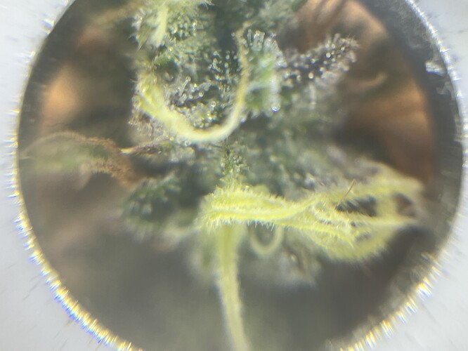 Growreport Bild 21