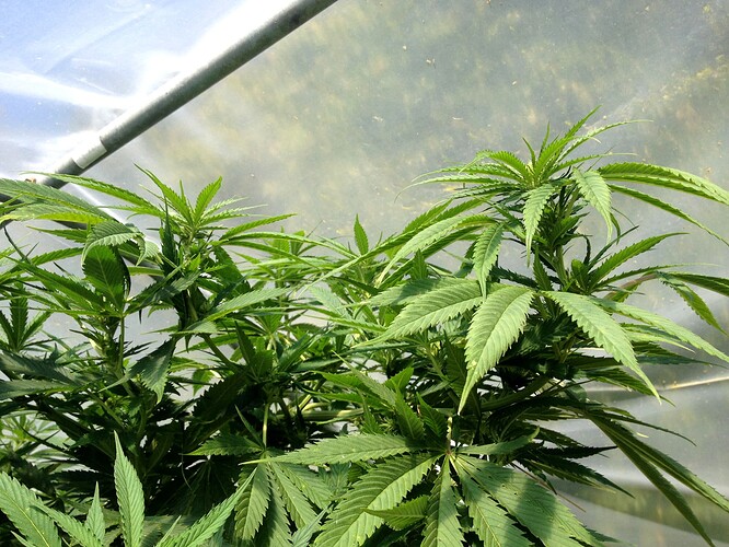 Growreport Bild 12