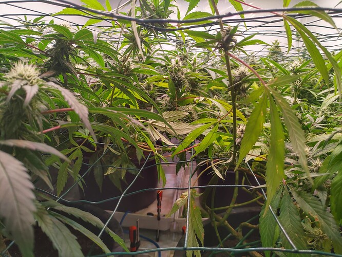 Growreport Bild 11