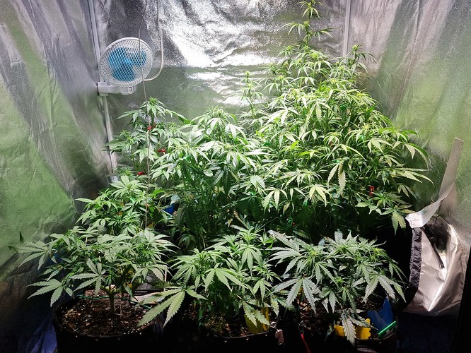 Growreport Bild 17