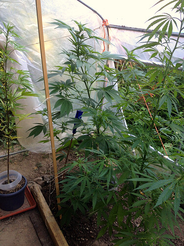 Growreport Bild 20