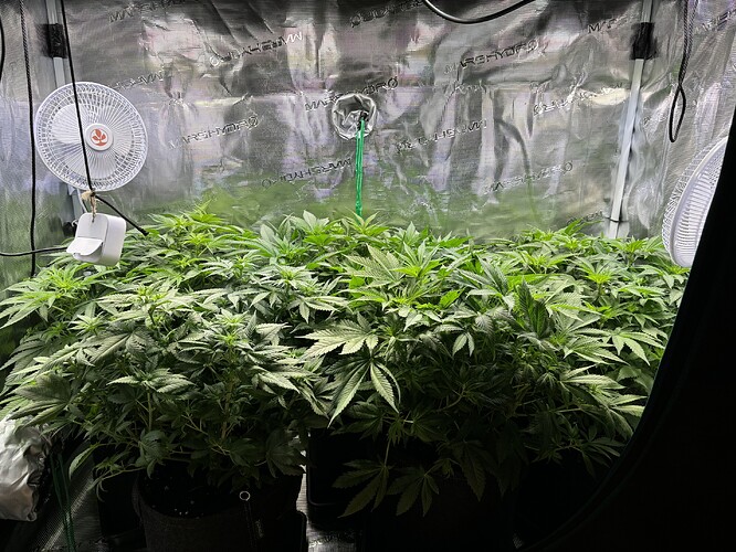 Growreport Bild 21