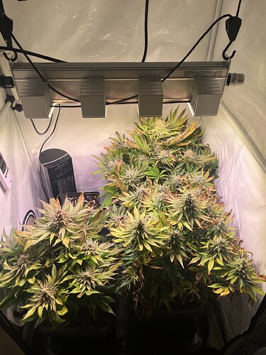 Growreport Bild 5