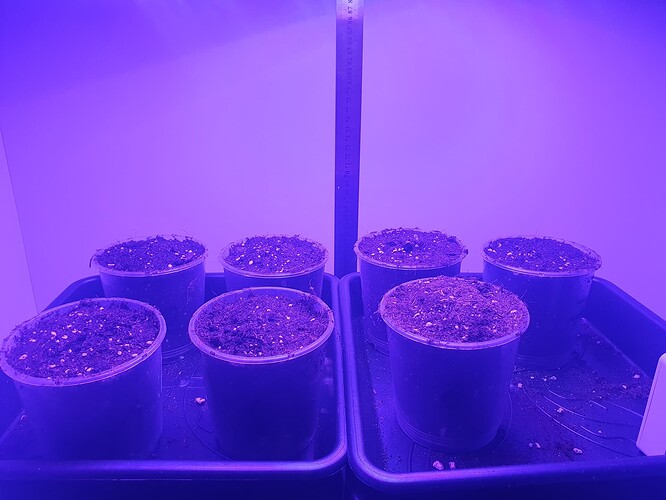 20231014_091101 - Kopie