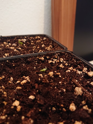 Growreport Bild 17