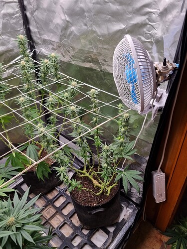 Growreport Bild 10