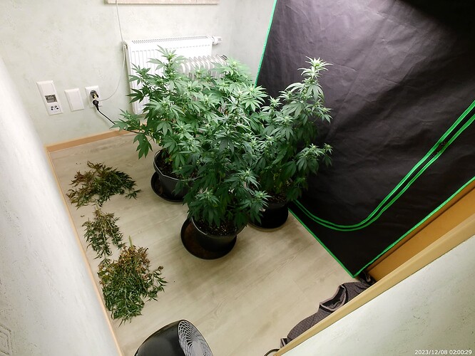 Growreport Bild 21
