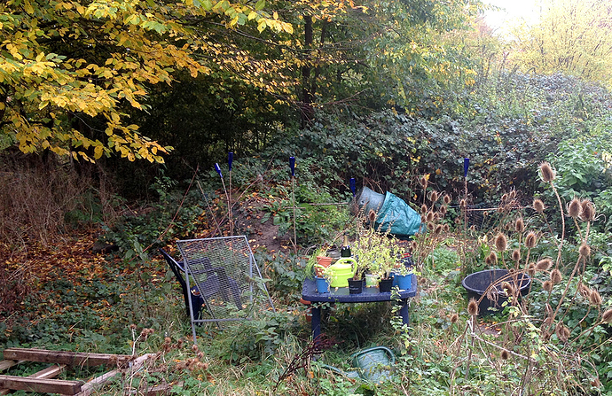 Growreport Bild 10