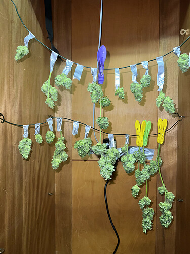 Growreport Bild 22