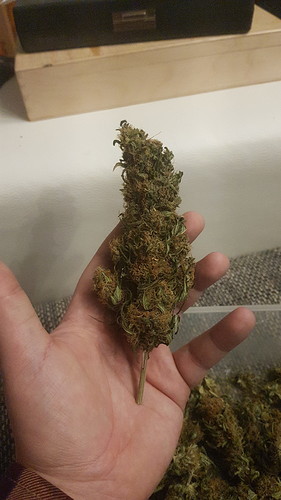 Growreport Bild 3