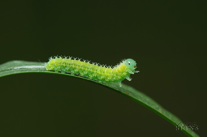 Growreport Bild 17