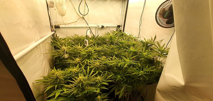 Growreport Bild 9