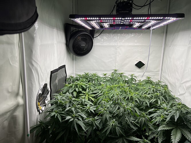 Growreport Bild 1