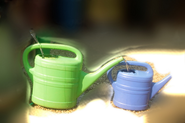 Growreport Bild 1