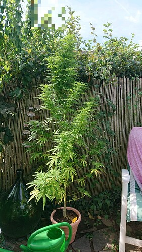 Growreport Bild 9