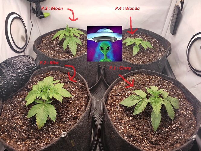 Growreport Bild 18