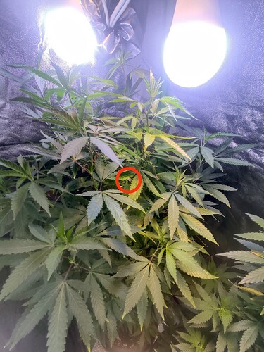 Growreport Bild 10