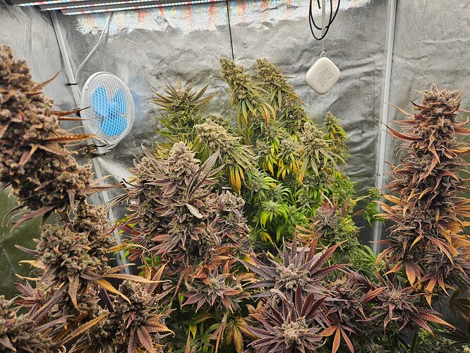 Growreport Bild 2