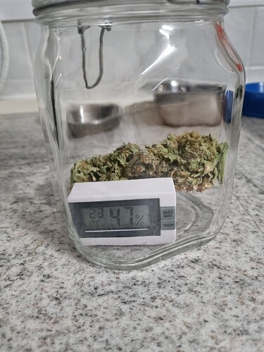 Growreport Bild 29