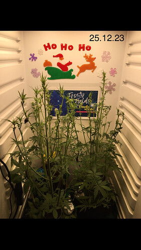 Growreport Bild 9