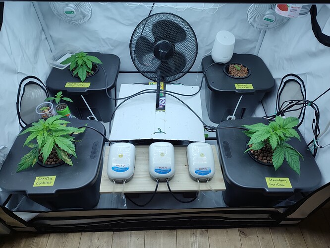 Growreport Bild 46