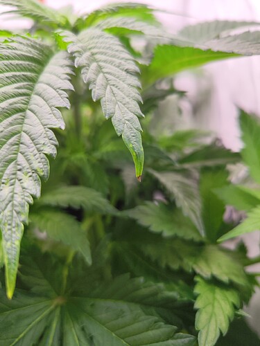 Growreport Bild 10