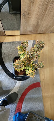 Growreport Bild 1