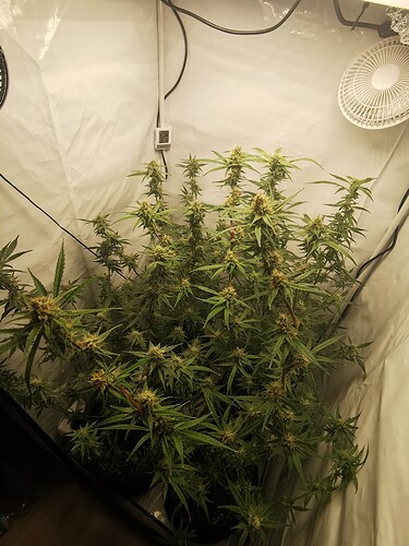 Growreport Bild 23