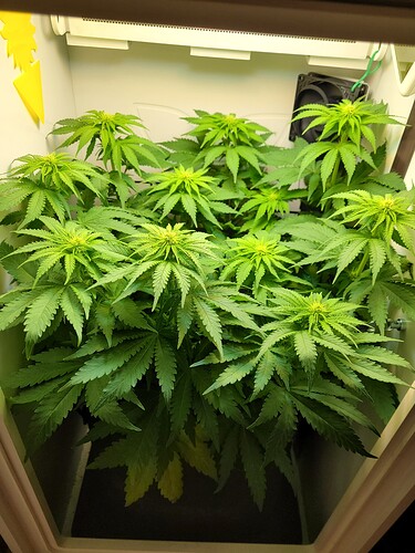 Growreport Bild 4