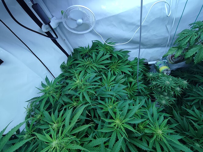 Growreport Bild 23
