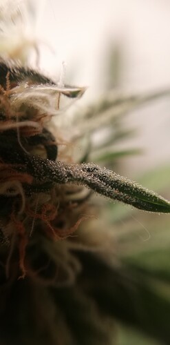 IMG_20220627_144953