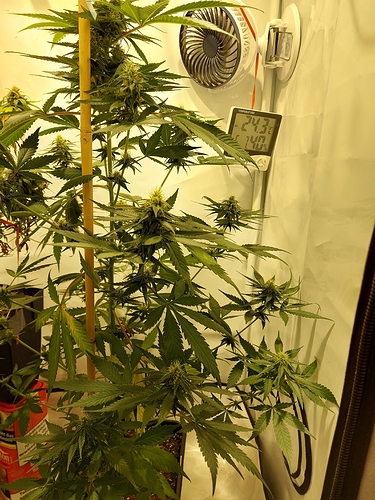 Growreport Bild 10