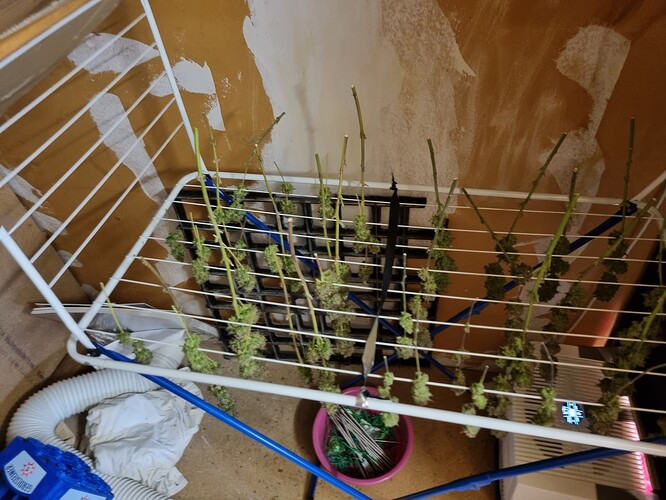 Growreport Bild 14