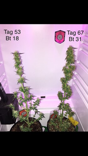 Growreport Bild 8