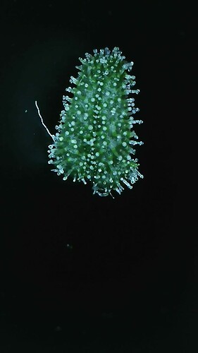 2022_04_01_06_25_18_521