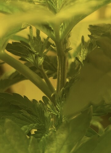 Growreport Bild 11